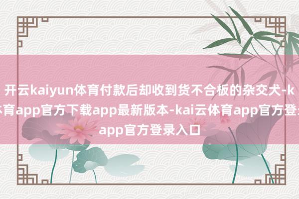 开云kaiyun体育付款后却收到货不合板的杂交犬-kai云体育app官方下载app最新版本-kai云体育app官方登录入口