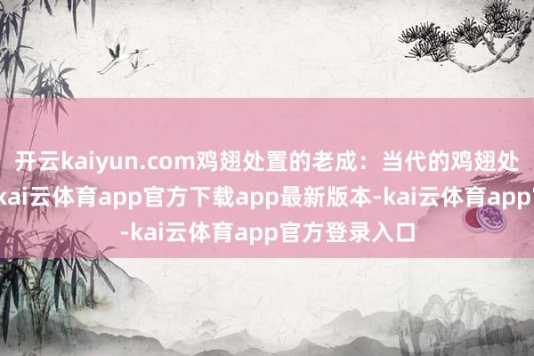 开云kaiyun.com鸡翅处置的老成：当代的鸡翅处置得太干净-kai云体育app官方下载app最新版本-kai云体育app官方登录入口