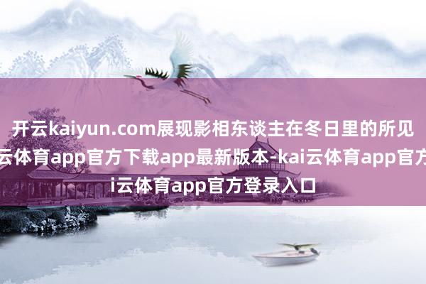 开云kaiyun.com展现影相东谈主在冬日里的所见所感-kai云体育app官方下载app最新版本-kai云体育app官方登录入口